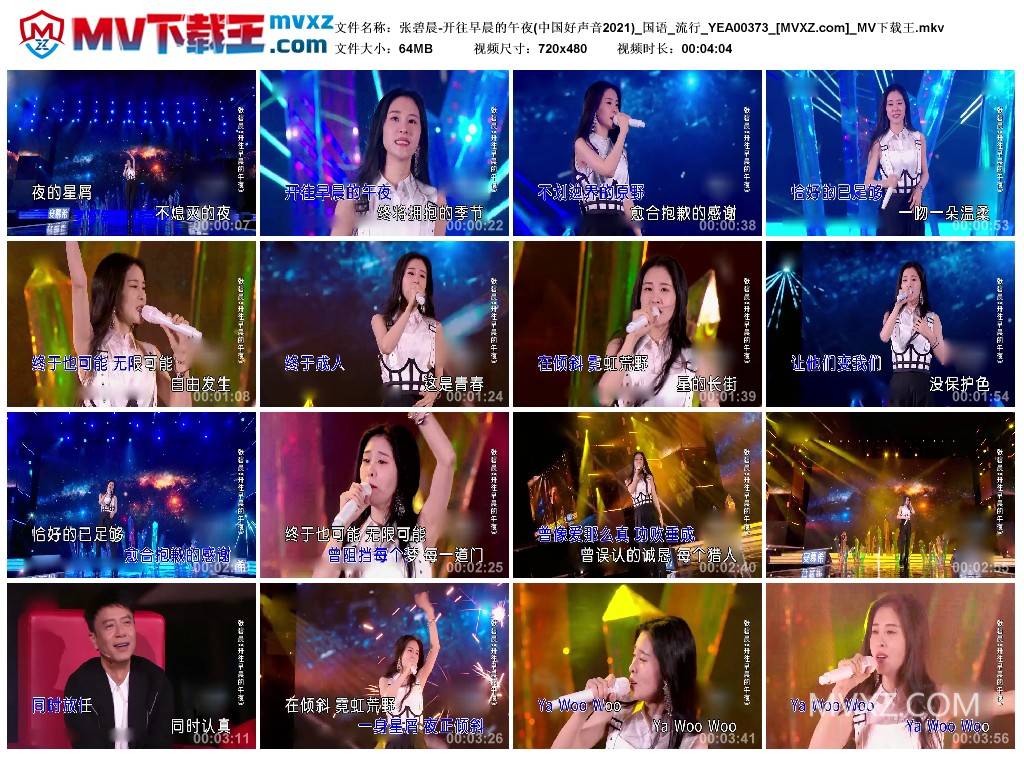 张碧晨-开往早晨的午夜(中国好声音2021)_国语_流行_YEA00373